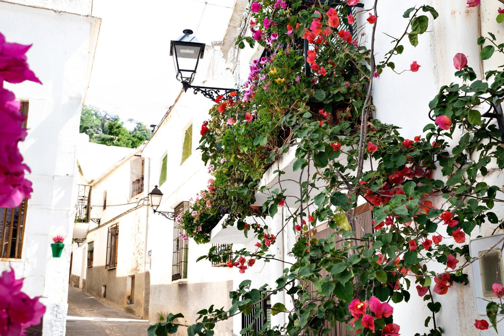 Alpujarra Relax Carataunas Εξωτερικό φωτογραφία